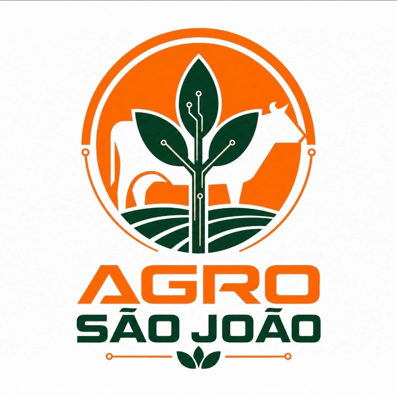 Agro São João